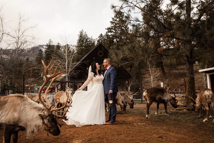 A Lovely Couple Turned Their Wedding Into A Christmas Miracle At ...