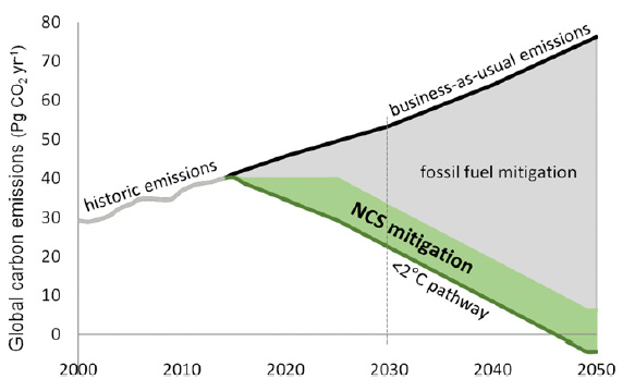 Role of NbS in a Net Zero future