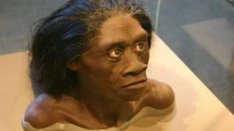 suku mante