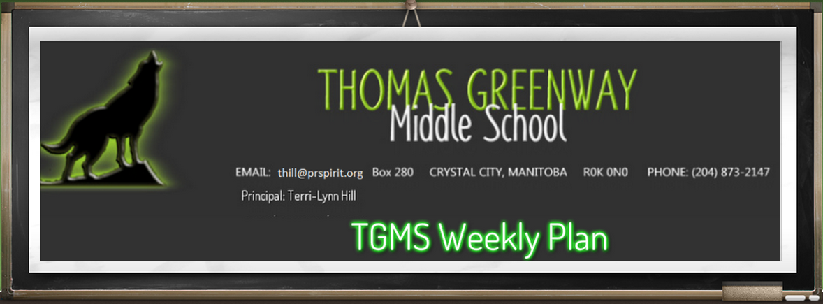 TGMS Weekly Update Header.png