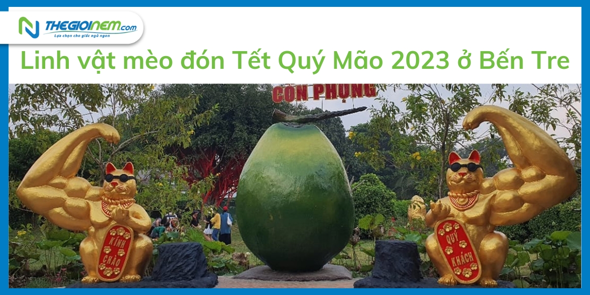 Linh vật mèo Tết Quý Mão 2023 ở các địa phương gây sốt cộng đồng