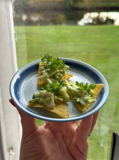 A hand holding a plate of chips with guacamole and parsley

Description automatically generated