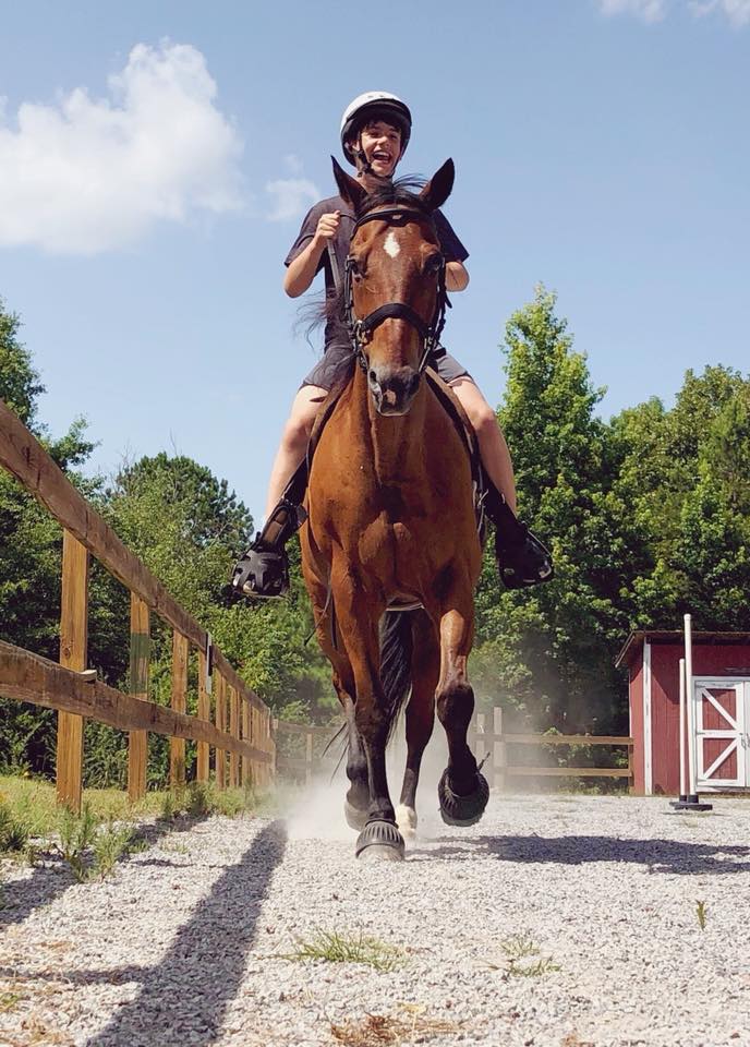 King’s Stables, an equine therapy program in Chelsea, needs your help! 3 things to know + how to help them build a new barn.