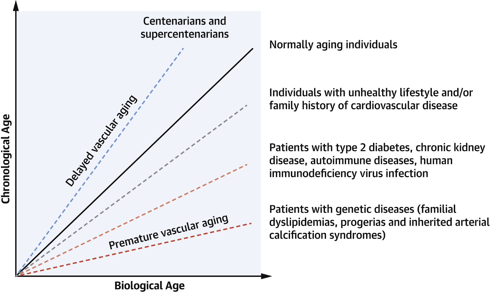 Biological Aging,aging,Chromosomes,epigenetics,Mitochondria,Mitochondrial Health,Senescence,Vascular Health