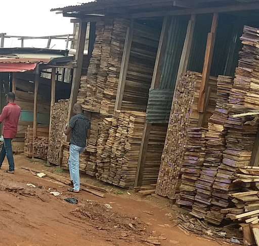 Timber Market, 172 Nike Lake Rd, Trans-Ekulu, Enugu, Nigeria, Contractor, state Enugu