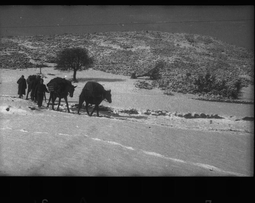 Περιγραφή: C:\Users\xristos\Pictures\ΕΘΝΙΚΗ ΑΝΤΙΣΤΑΣΗ\Φ2\G1406.jpg