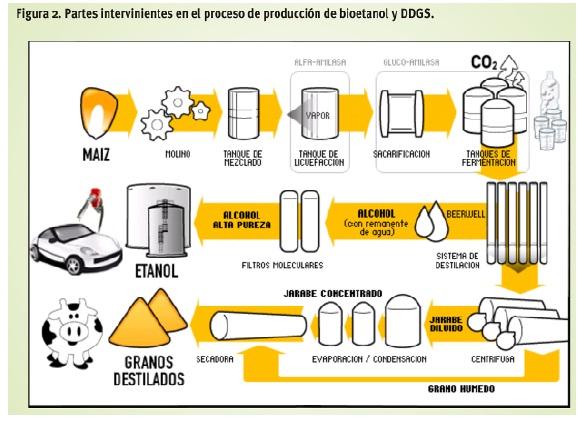 http://www.biodiversidadla.org/var/biodiversidadla_org/storage/images/objetos_relacionados/image_folder/noname_43/766367-1-esl-ES/noname_43.jpg