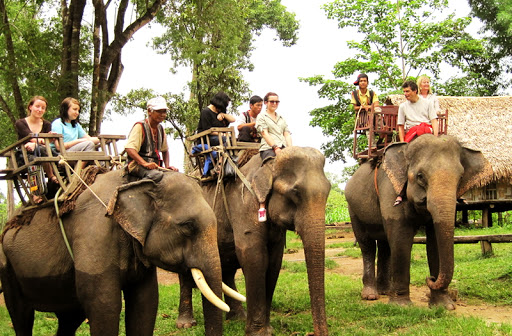 Bản Đôn - Buôn Mê thuột