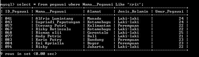 C:\Users\Aras\Documents\Tugas semester 1\Basis data\Tugas besar\7 Like, Order by, Grup By, Asc, Des\Like\Pegawai\Like 4.PNG