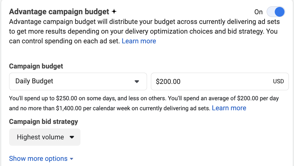 Advantage campaign budget settings.