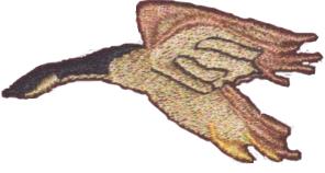 goose2