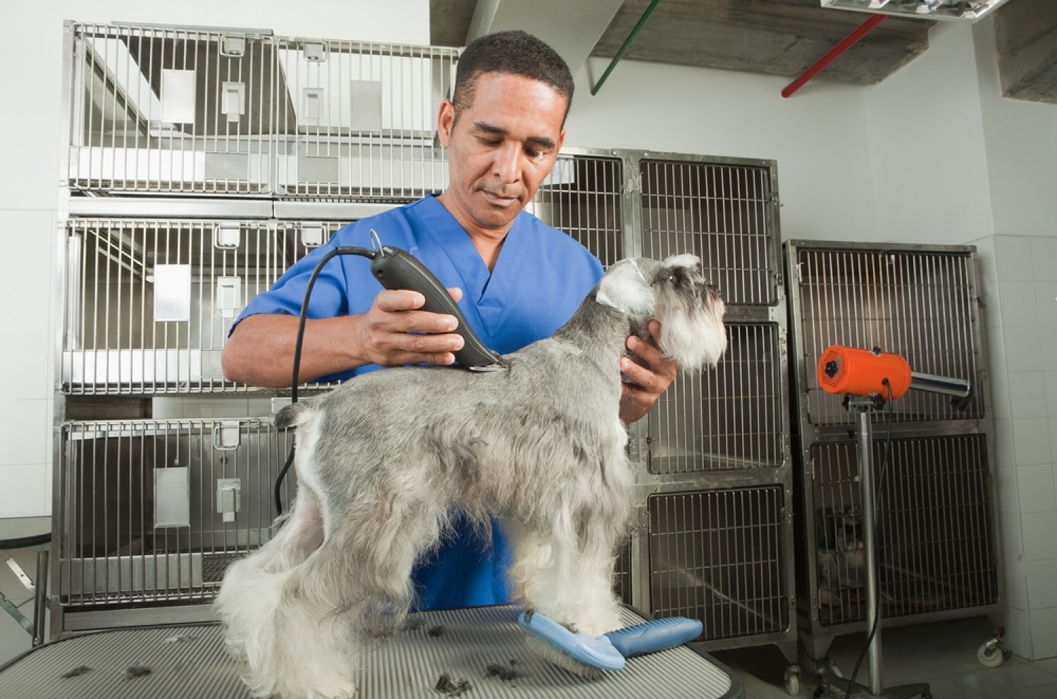 How Much To Tip Dog Groomer? Petsmart