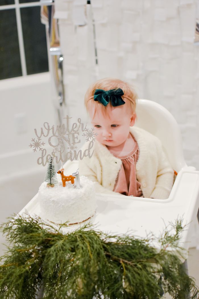 Winter ONEderland Smash Cake from a Winter ONEderland 1st Birthday Party on Kara's Party Ideas | KarasPartyIdeas.com (17)