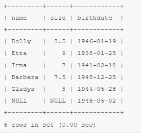 Основы SQL на базе MySQL