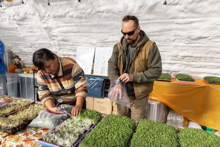 A woman harvest microgreens from a pallet with scissors. A man stands next to her waiting to collect them in a ziploc bag