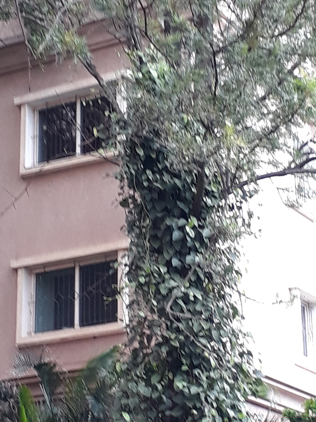 20170622_165707.jpg
