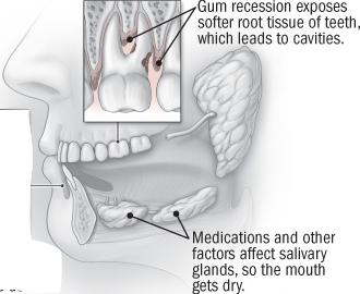 Detailed image of Tooth in human jaw