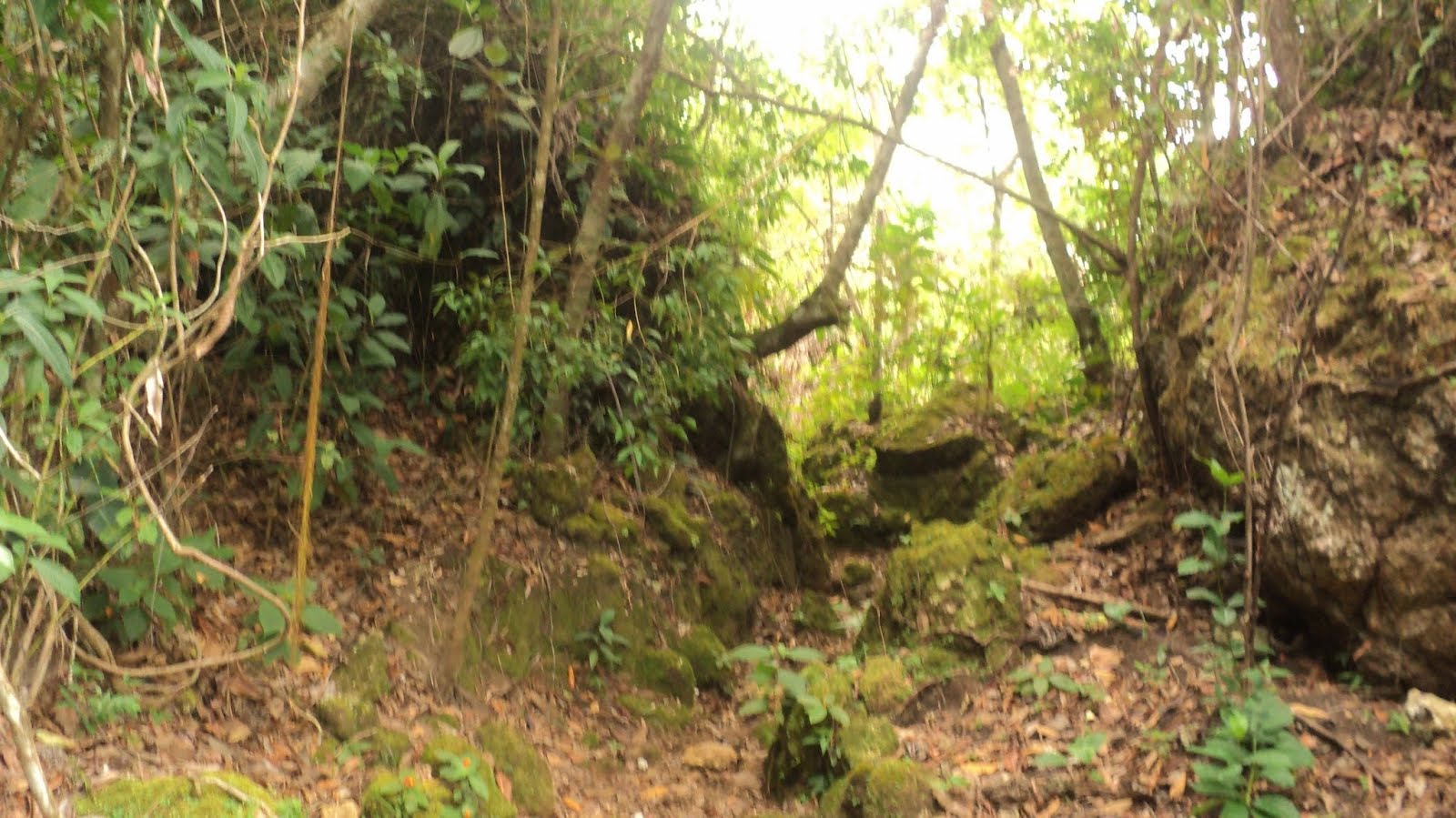DSC01920.JPG