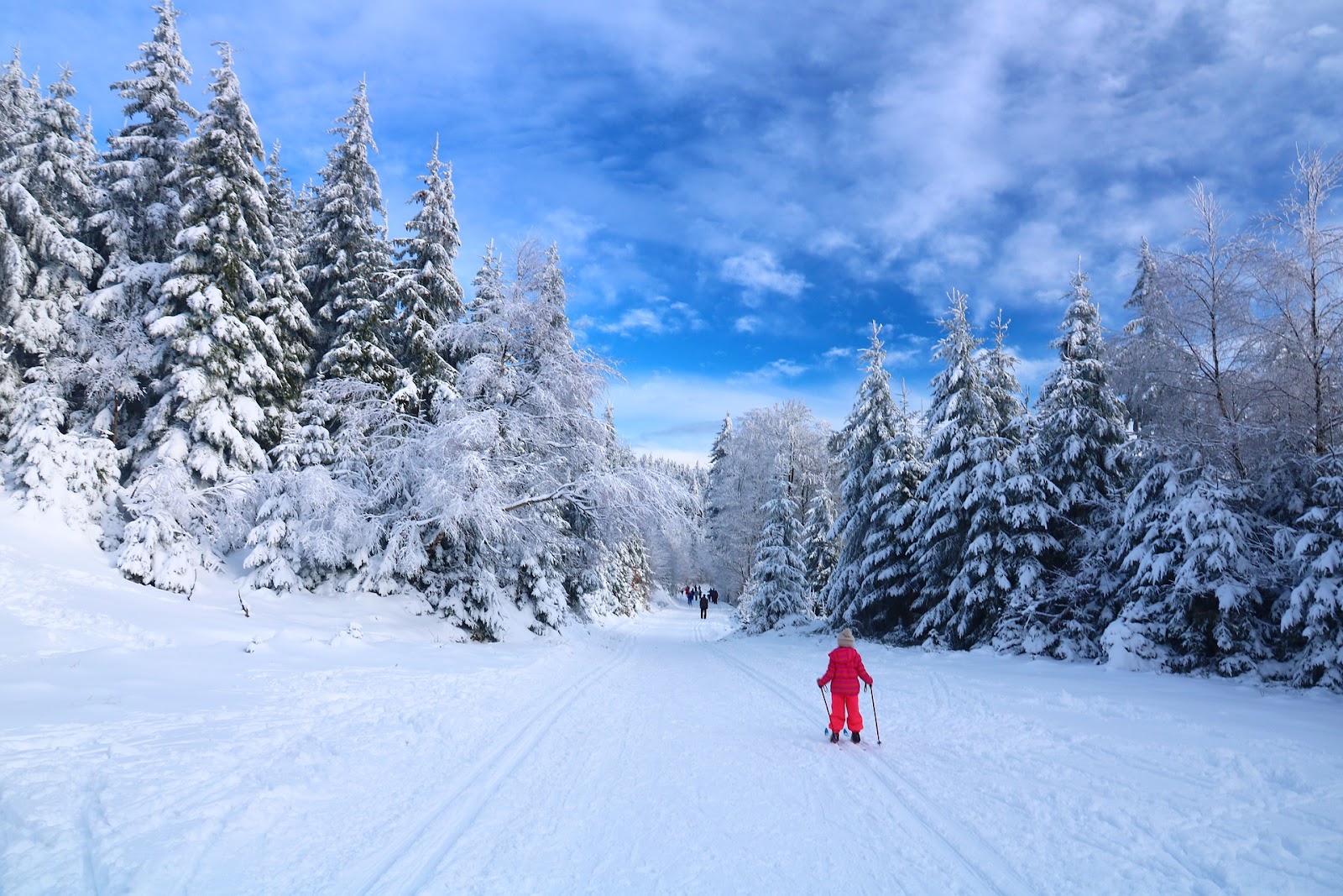 Family on Cross Country ski trail; highlight to fun west kelowna activities.