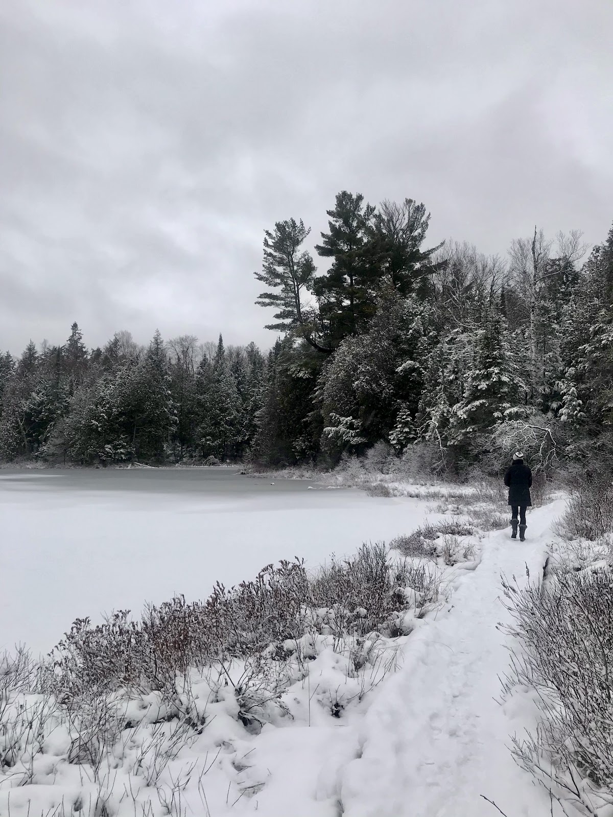 winter hikes muskoka