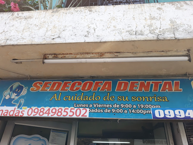 Sedecofa Dental - Guayaquil