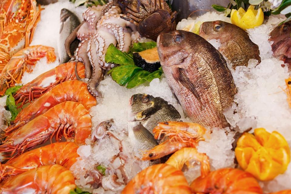 Seafood, Food, Healthy, Sea, Fresh, Fish, Restaurant