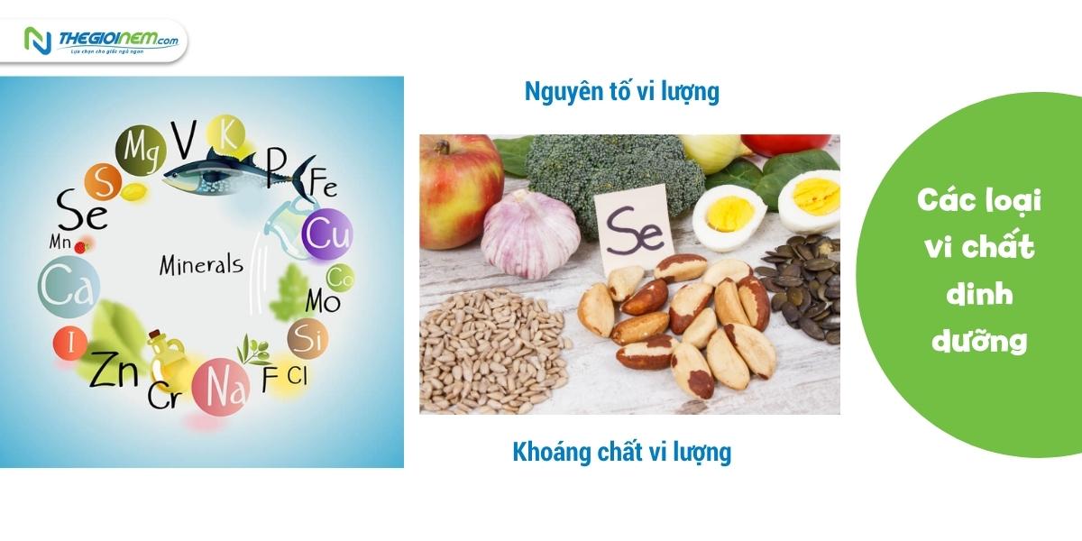 Như thế nào là vi chất dinh dưỡng? Những lợi ích đối với sức khỏe