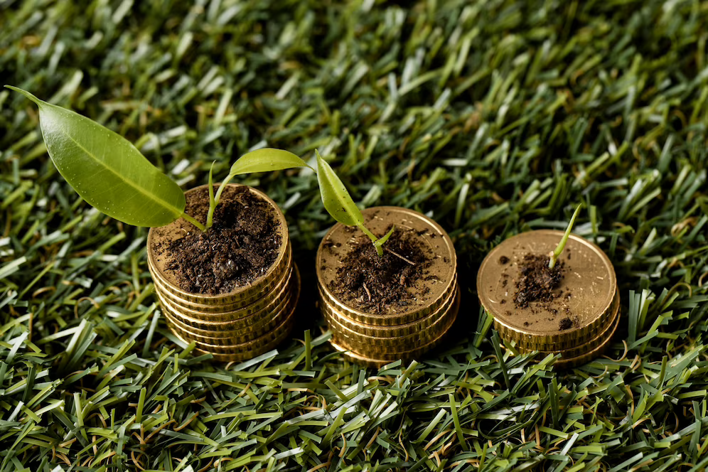 O que é seed capital: foto alta de três pilhas de moedas na grama com terra e plantas