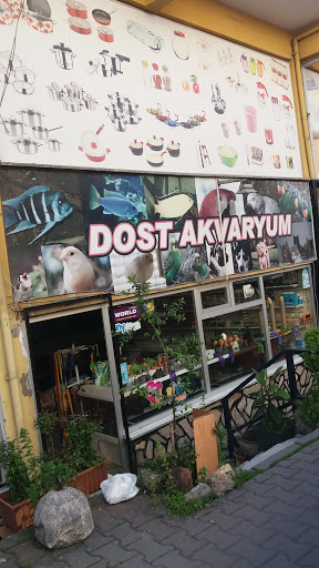 Dost Akvaryum | Kağıthane İstanbul - Evcil hayvan mağazası