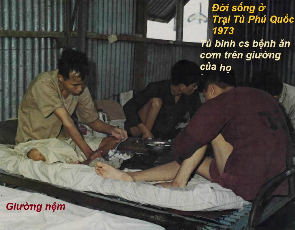 Tu binh CS 12.jpg