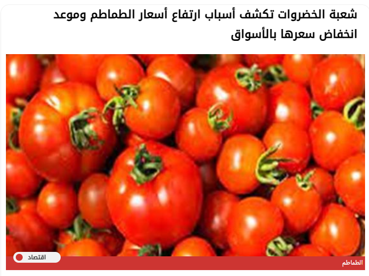 أزمة ارتفاع أسعار الطماطم في مصر 