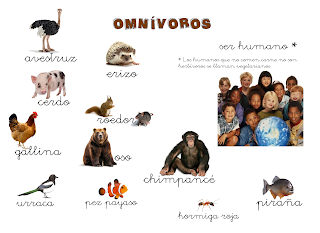 Resultado de imagen para imagen de animales onnivoros