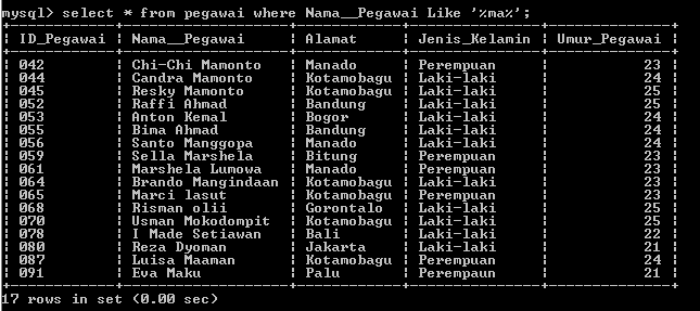 C:\Users\Aras\Documents\Tugas semester 1\Basis data\Tugas besar\7 Like, Order by, Grup By, Asc, Des\Like\Pegawai\Like 8.PNG