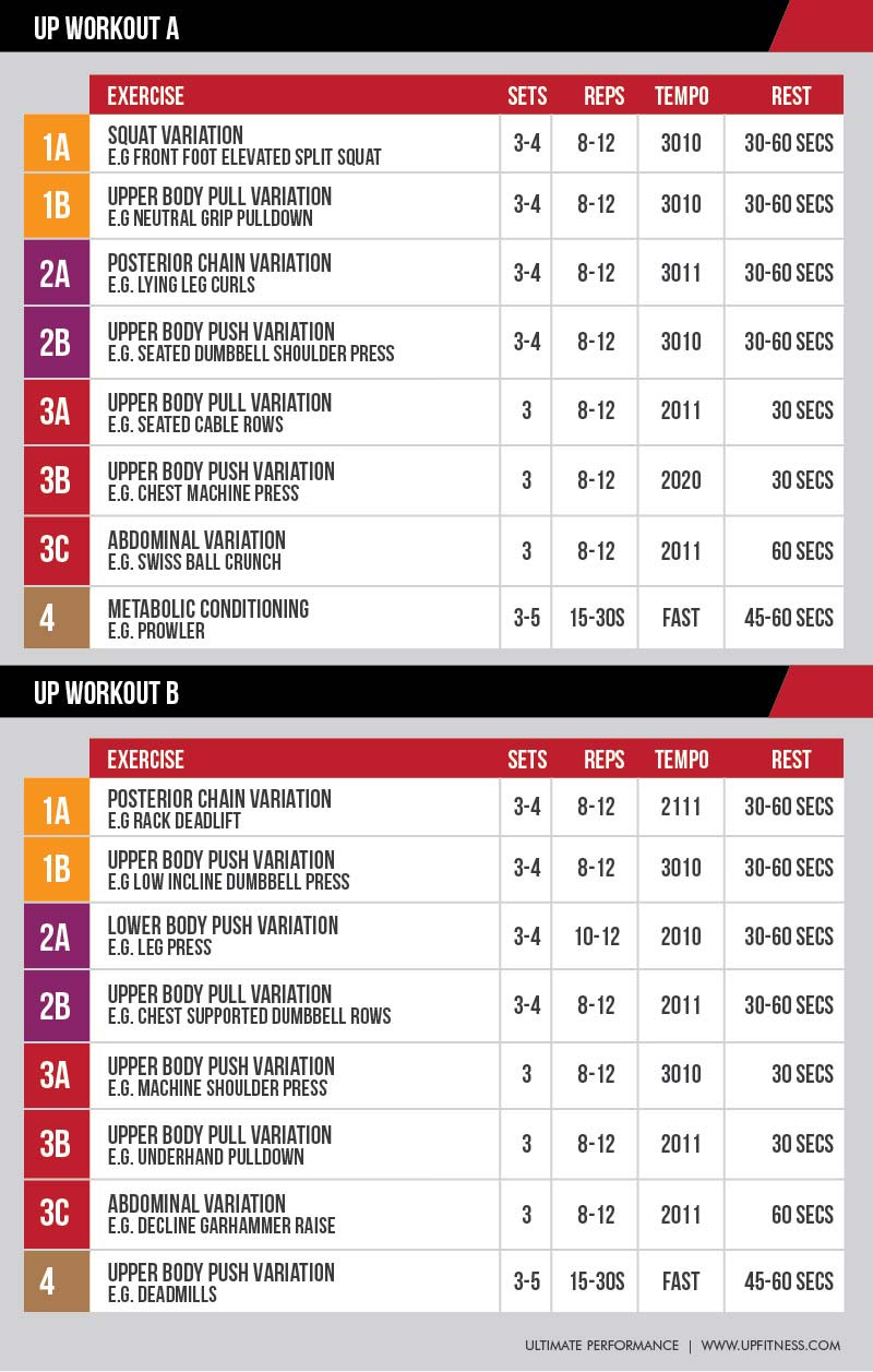 Shredded Workout Plan Blog Dandk