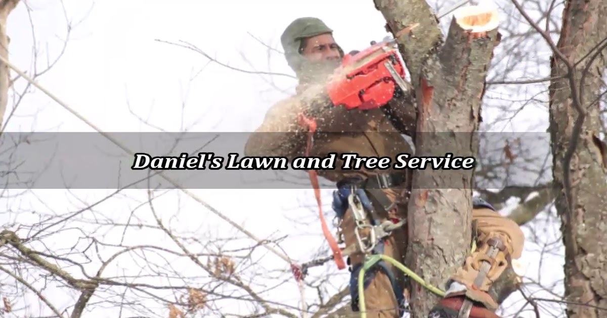 Daniel's Lawn and Tree Service.mp4