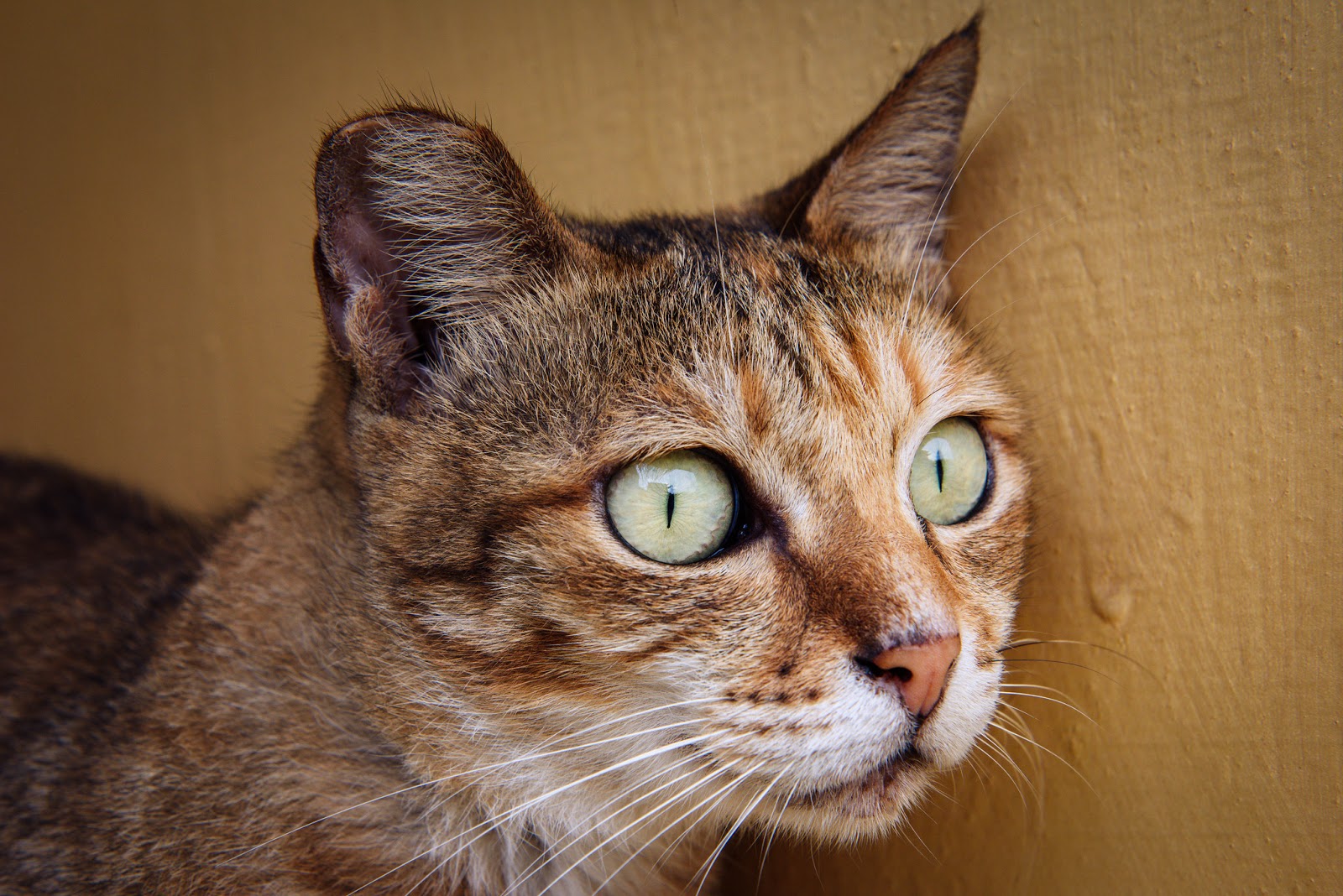 photography example