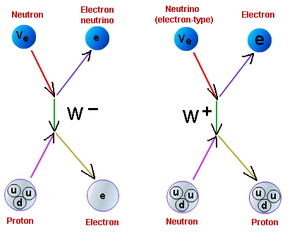 Weak Nuclear Force