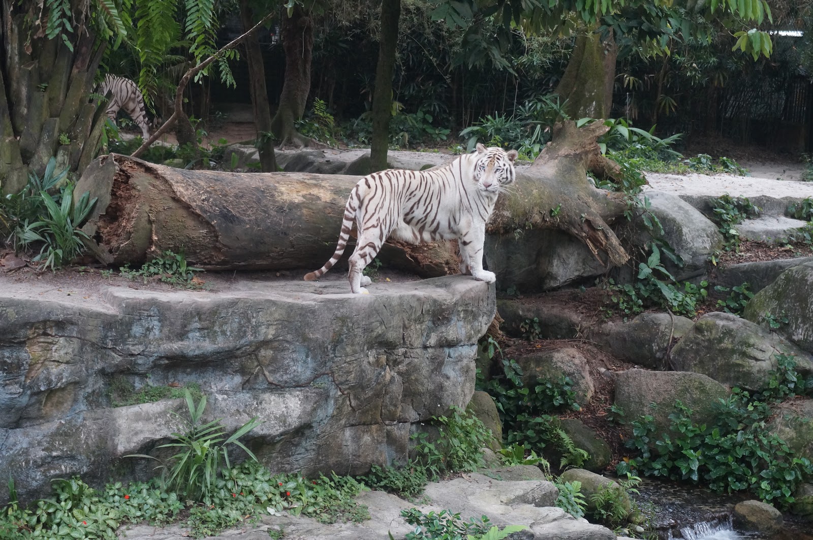 DSC09264.JPG