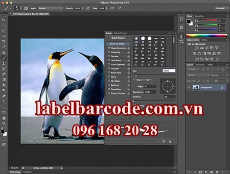 adobe-photoshop.jpg