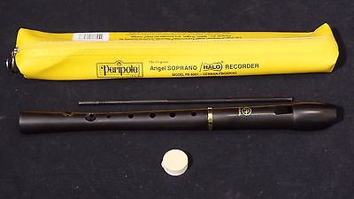 Image result for peripole recorder, yellow case