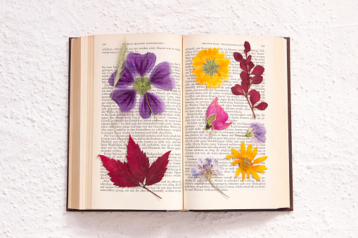 Flower pressing 
