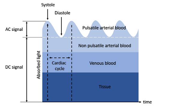 ESP32 專題(一) 智慧生醫 - 心率血氧機