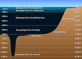 Layers of the Ocean - Deep Sea Creatures on Sea and Sky