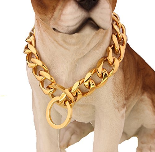 Collar para perro con cadena deslizante personalizado de por vida de W&W