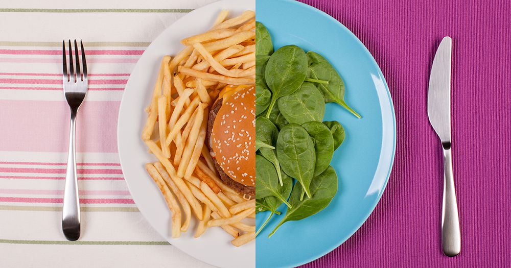 Your Diet Your Life