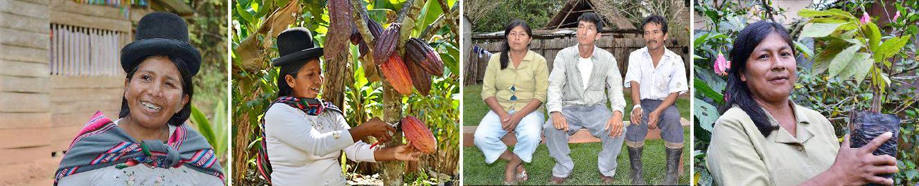 Chocolate producers