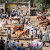Story image for beef export india from New York Times