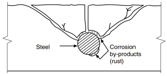 The expansion of corroding steel in concrete