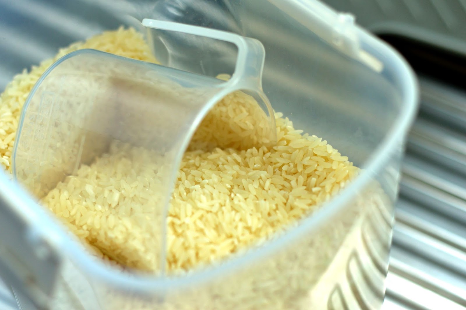 rice grains - rice water