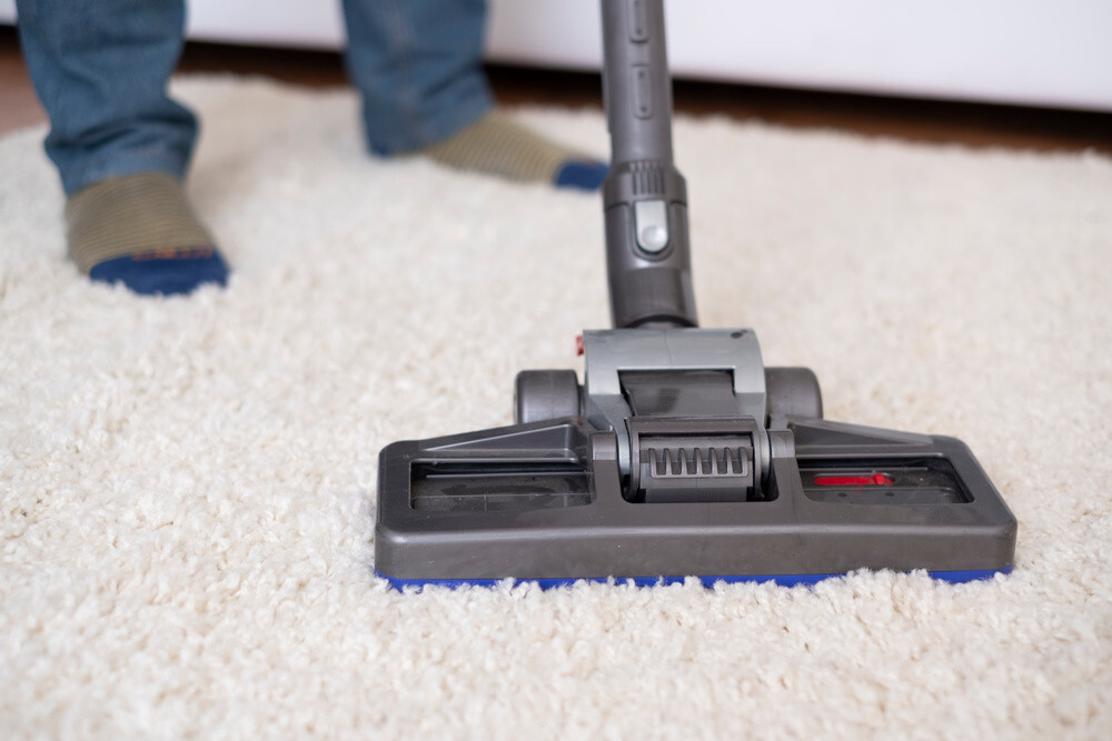 5 Best Vacuum Cleaners For Long Hair Masterclass Vac
